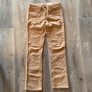 Patagonia Corduroy Pants
